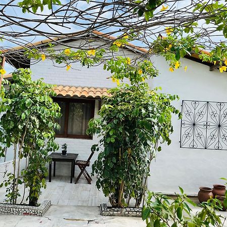 Casa Tua Pipa - Chále 1 Apartamento Praia de Pipa Exterior foto