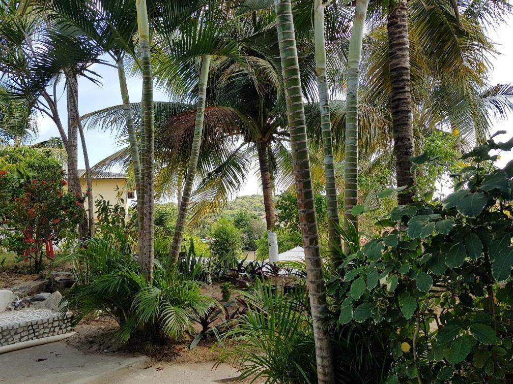 Casa Tua Pipa - Chále 1 Apartamento Praia de Pipa Exterior foto