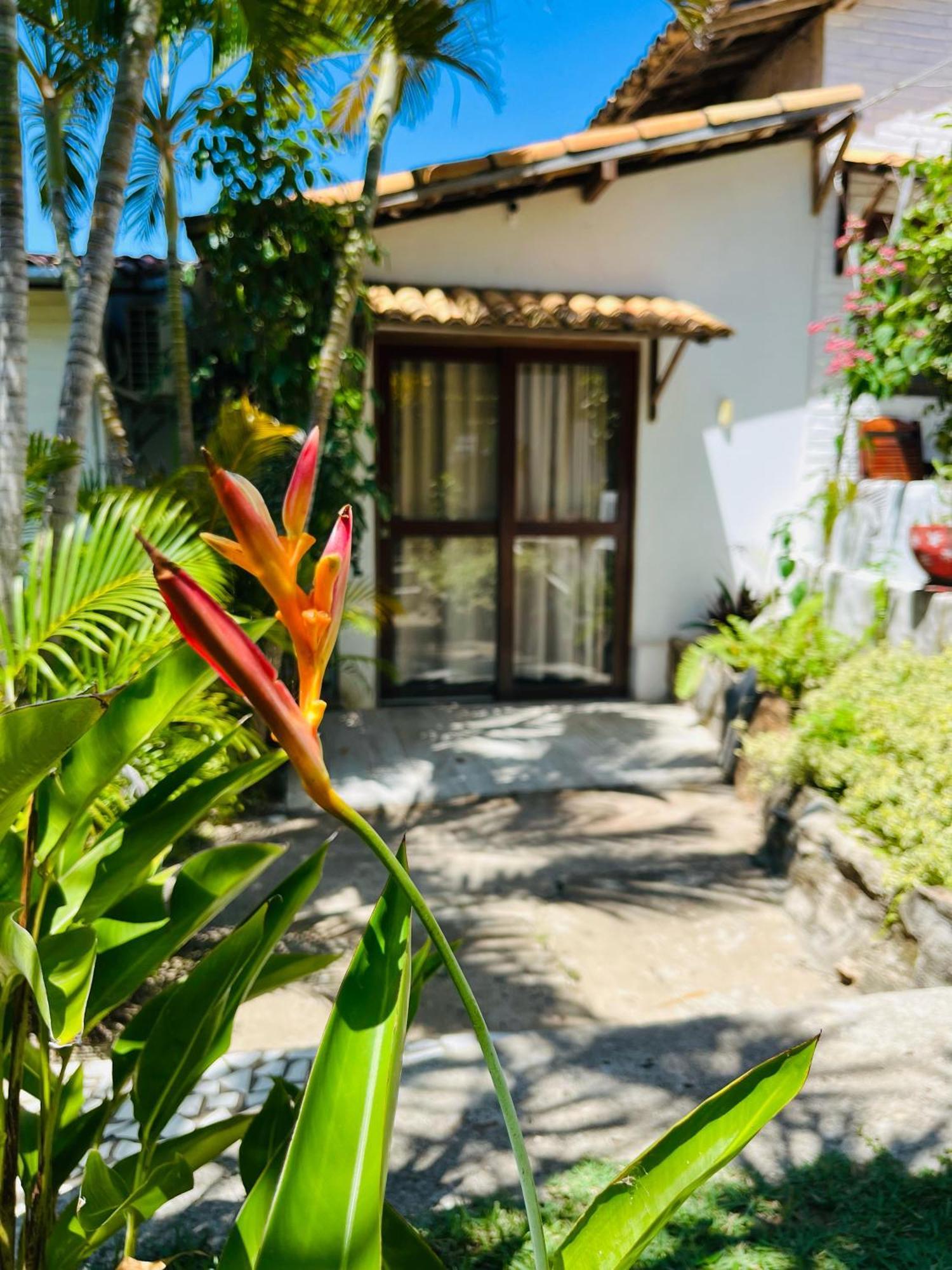 Casa Tua Pipa - Chále 1 Apartamento Praia de Pipa Exterior foto