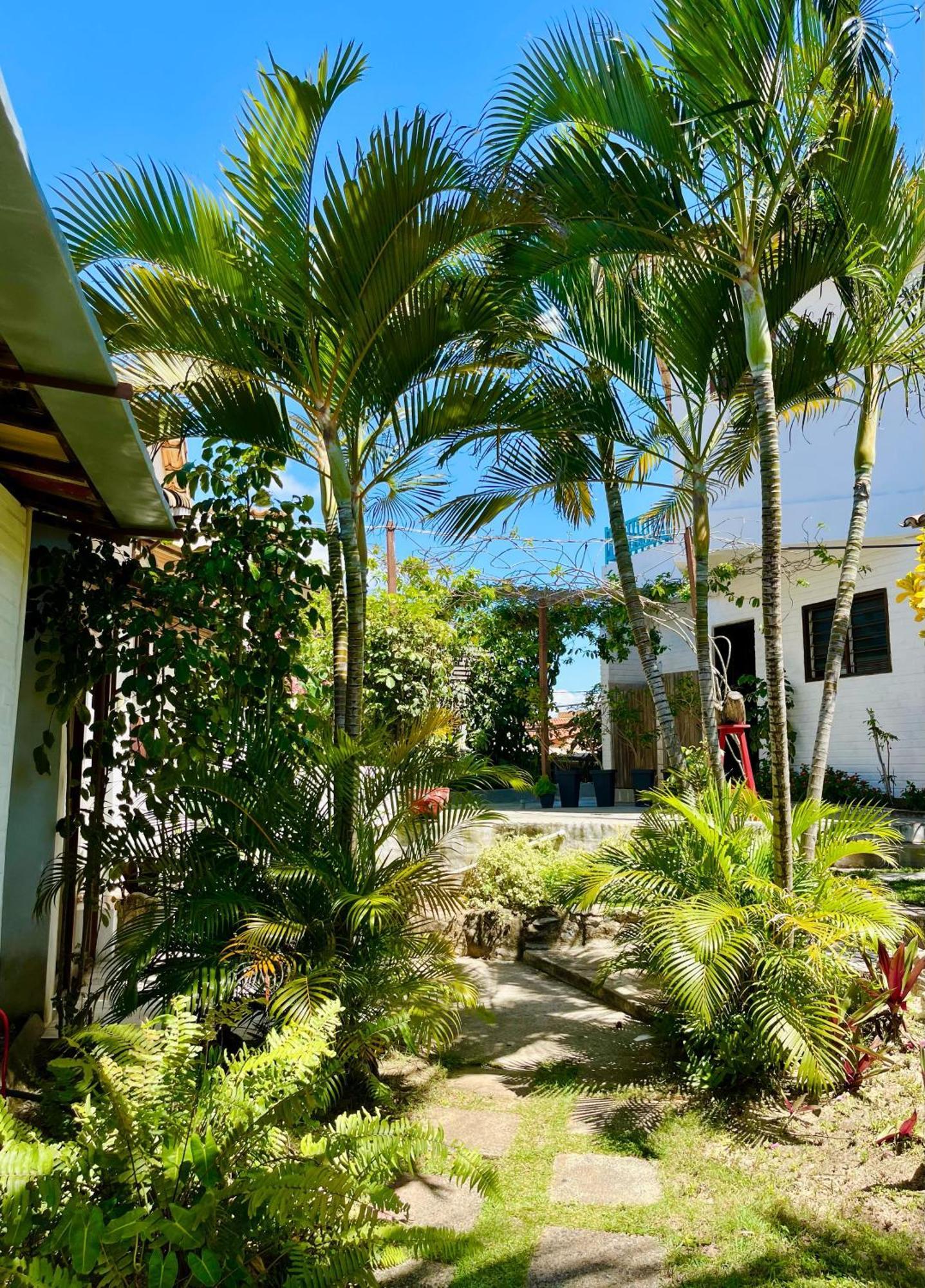 Casa Tua Pipa - Chále 1 Apartamento Praia de Pipa Exterior foto