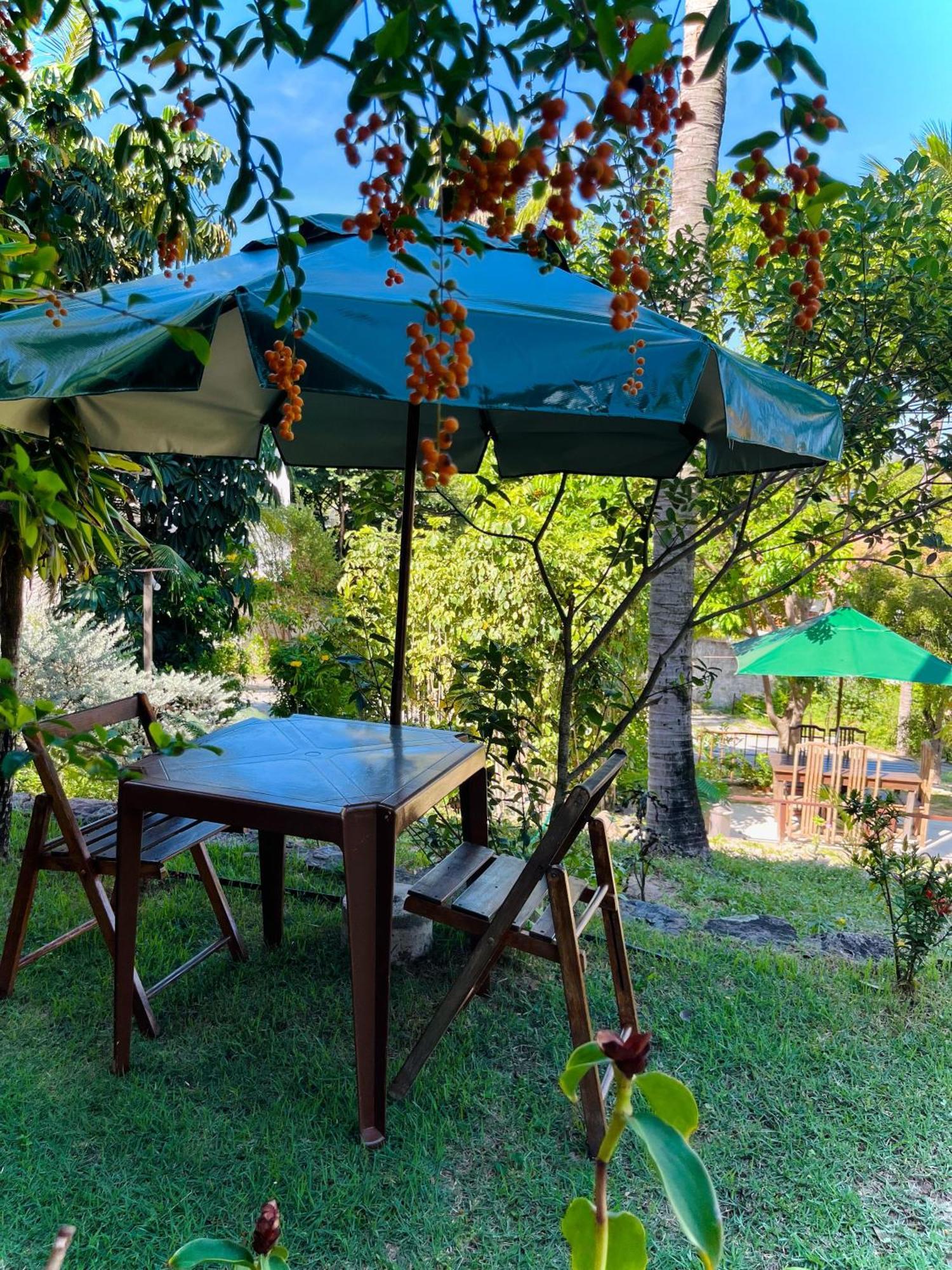 Casa Tua Pipa - Chále 1 Apartamento Praia de Pipa Exterior foto